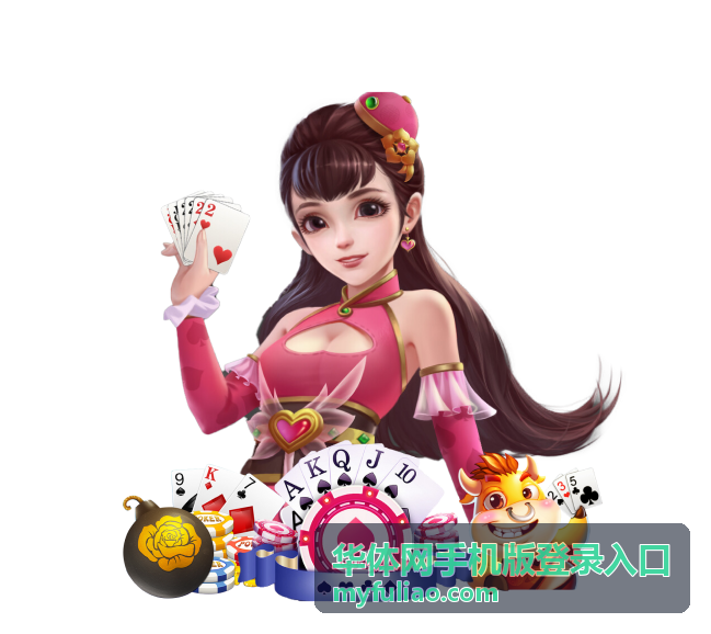华体网手机版登录入口指南总览